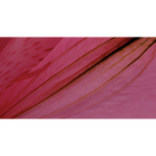 Callas Software PdfChip